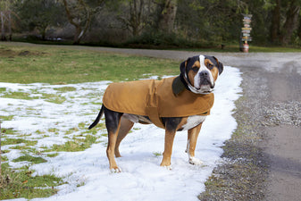 Carhartt ® Dog Chore Coat